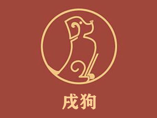 2006年属狗人的幸运数字