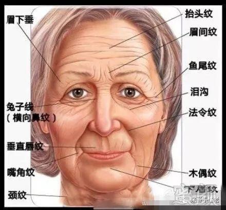 解析:额头上有皱纹寓意着什么?