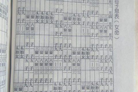 命中有无子女如何查询
