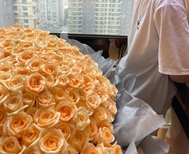 保加利亚国花香槟玫瑰,66朵香槟玫瑰求婚代表什么意思?