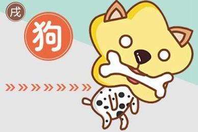 属狗的父母生个2018年同属相狗宝宝好吗?会相克吗?
