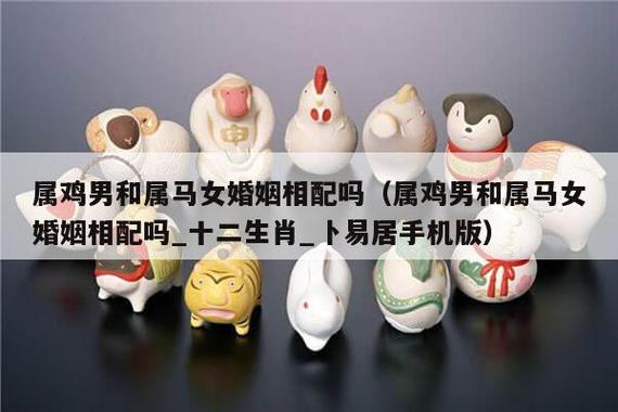 女马男鸡相配吗？属鸡人带什么招财？