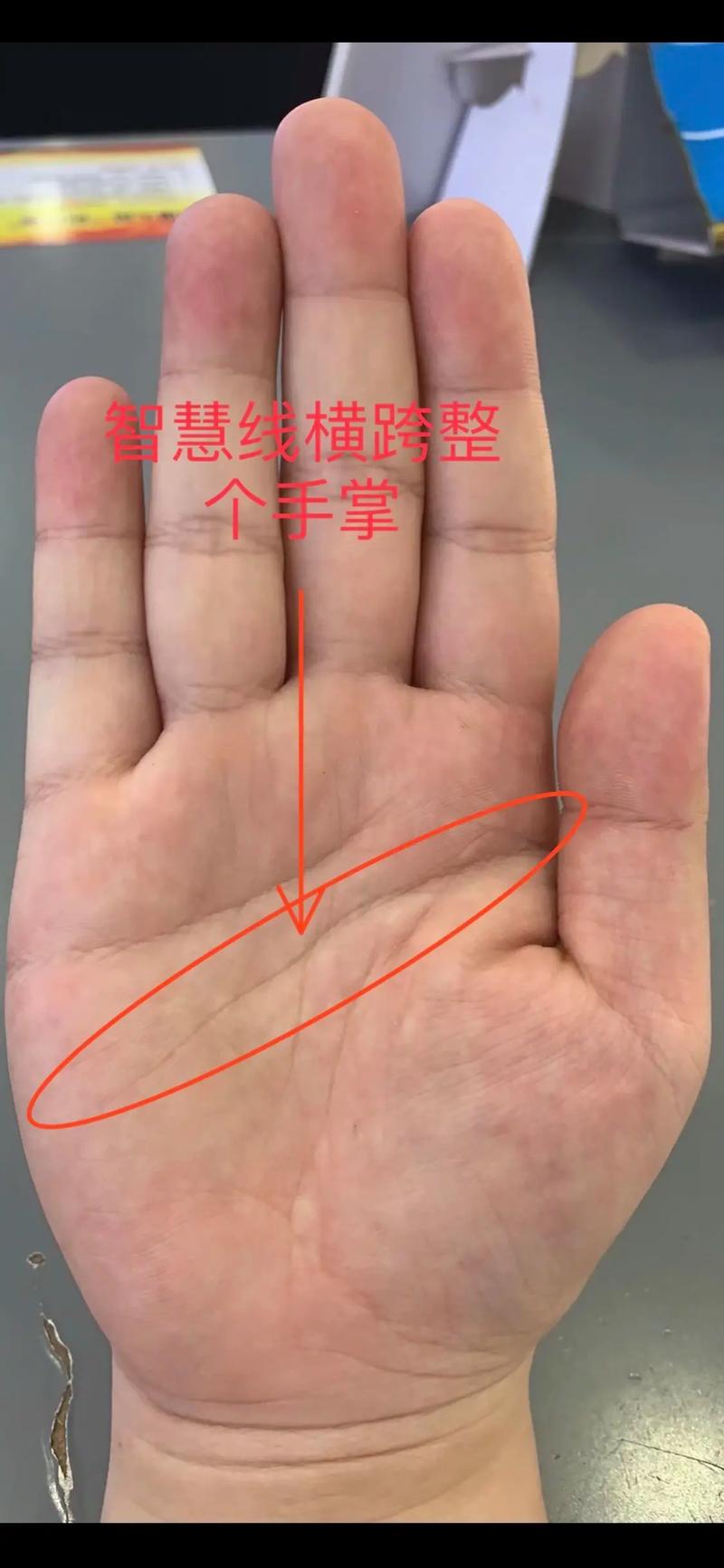 生命线多长是六十岁,生命线断开错位又延伸