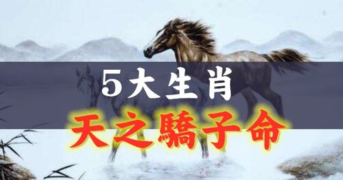 深受上天眷顾,堪称有福之人的生肖