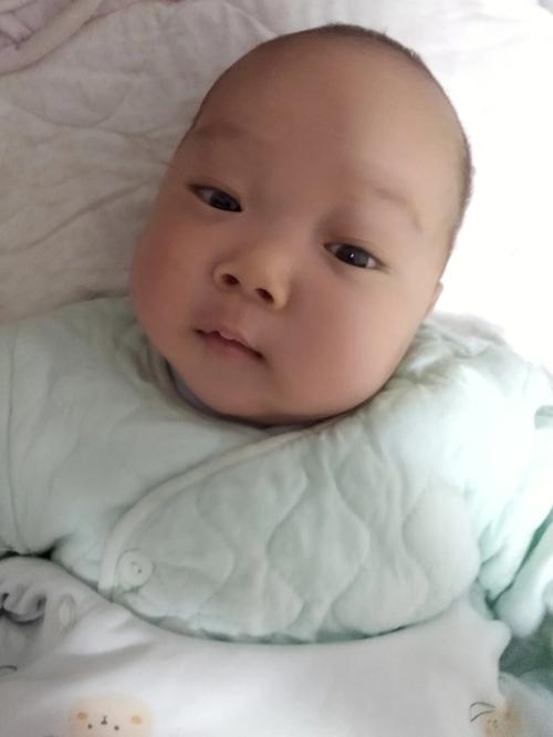 梦见姐姐回家了