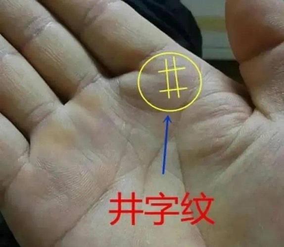 什么是婚姻线井字纹