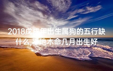 属狗的18年出生命好不好