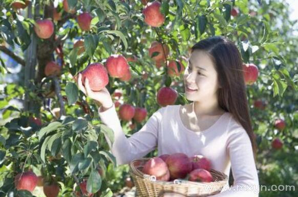 孕妇梦到摘苹果