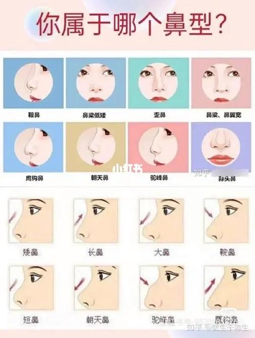 从鼻型断定你的存钱能力好不好?