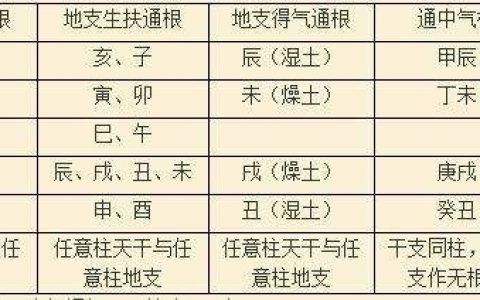 偏财运算命图解