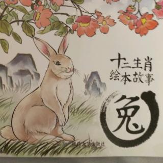 十二生肖的传说之兔,因骄傲失第一
