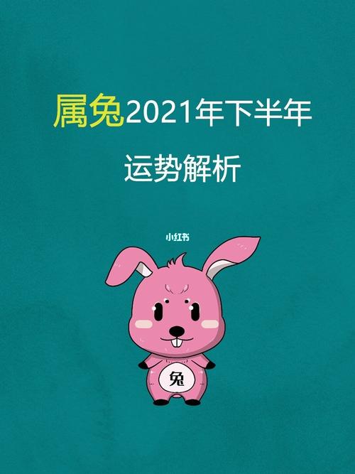 兔2021年下半年运势如何