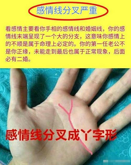 爱情线分叉什么意思