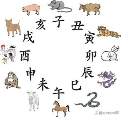100岁属什么生肖