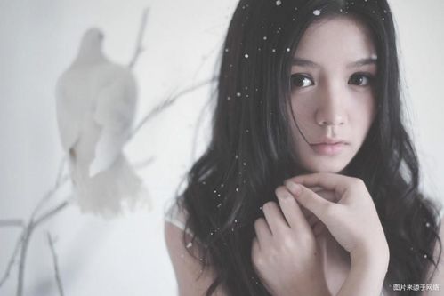 巨蟹座什么时候会感到身心疲累呢?