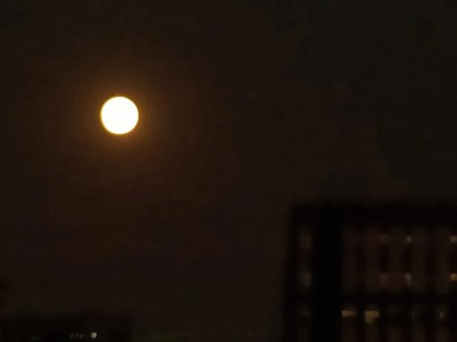 梦见月光是什么意思