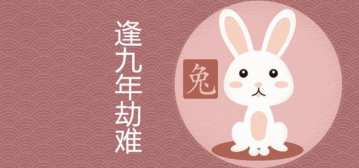 属兔45岁逢九年财运