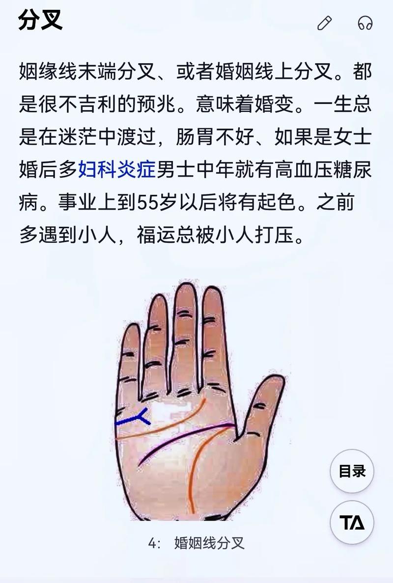手相分析:最容易掌控的人