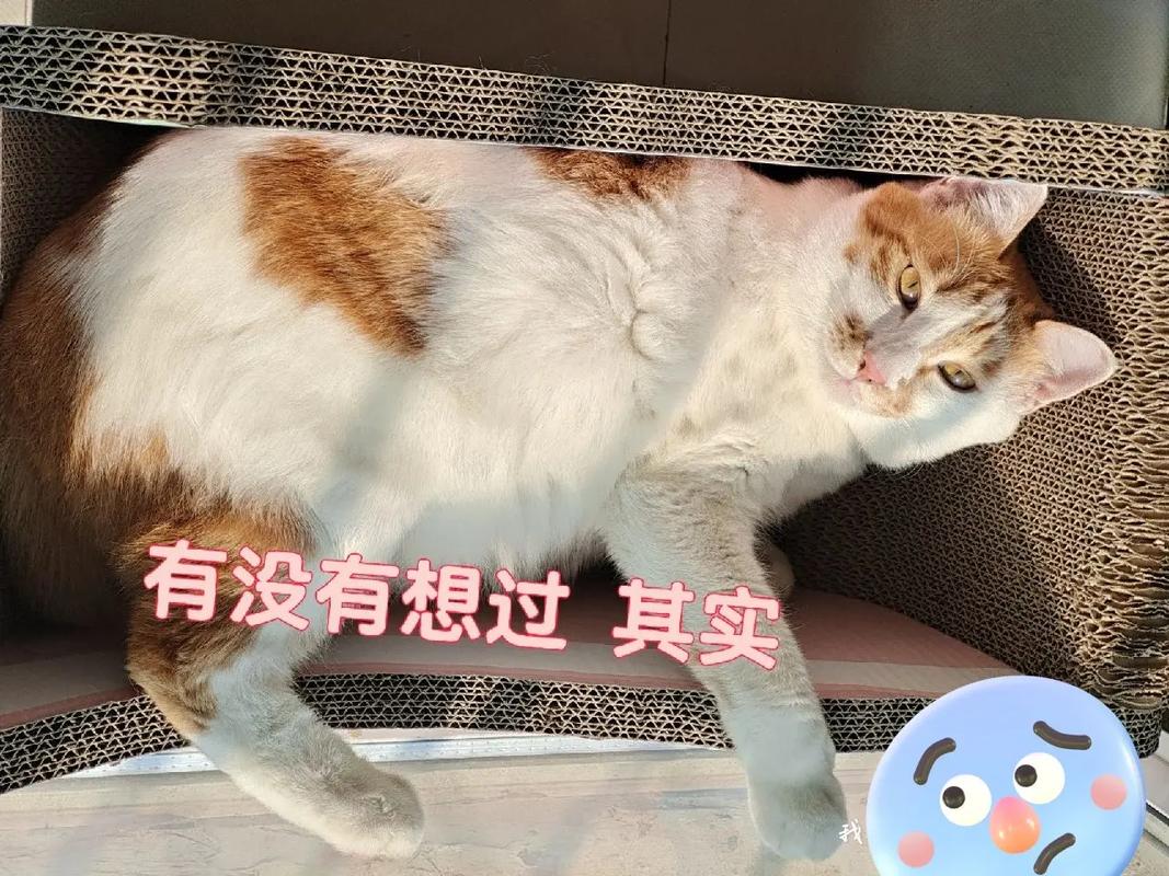 在外怂窝里横这些生肖要不得
