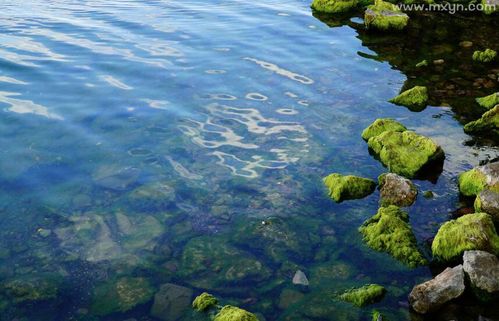 梦见湖水,梦见湖水发臭