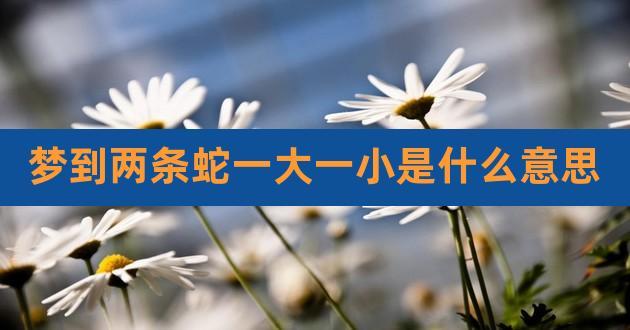 梦见一对蛇 两条蛇周公解梦,梦见一对蛇 两条蛇是什么意思?