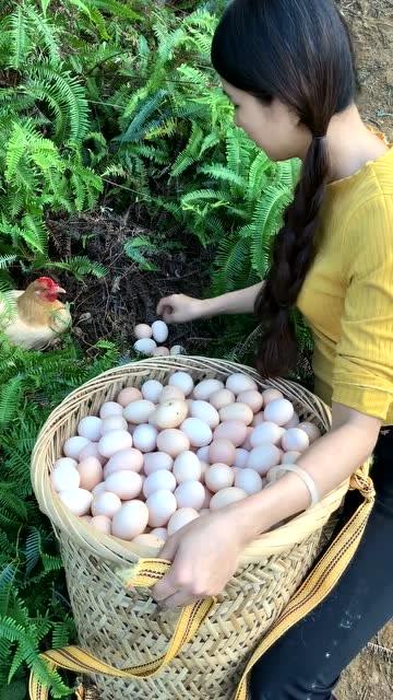 女人做梦捡不完的鸡蛋