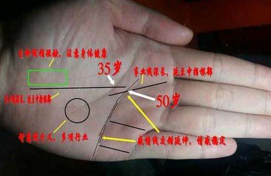 手相玉桂纹偏左