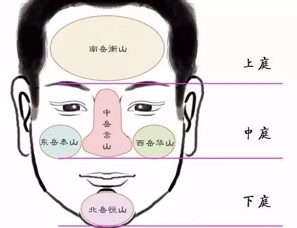 什么面相的人具备当领导的潜力