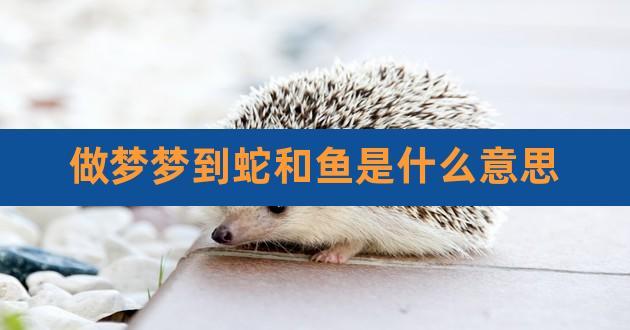 梦见鱼像蛇是什么意思