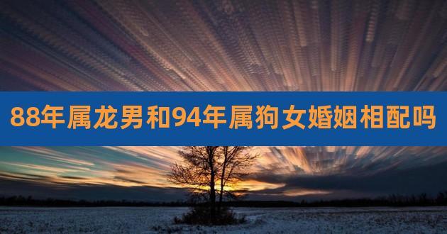 94年属狗和88年属龙的合不合
