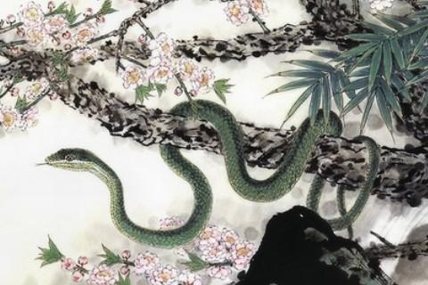 为什么说属蛇女是桃花命