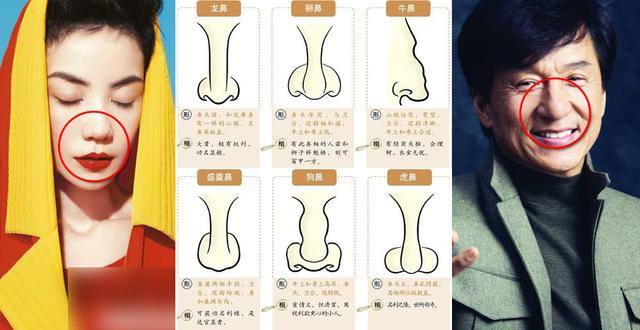 蒜头鼻的男人面相分析