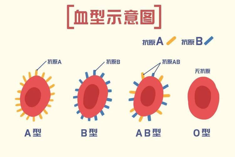 不可不知 不同血型的**方式