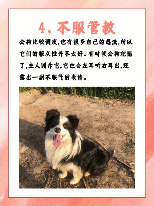 梦见被狗咬脚后跟是什么意思