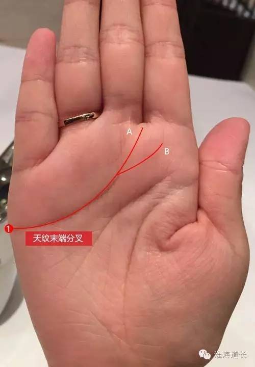 注定当富太太的手相