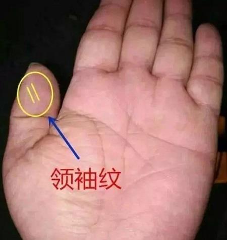 大拇指有三条横纹手相