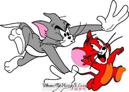 周公解梦 梦见猫或猫捉老鼠