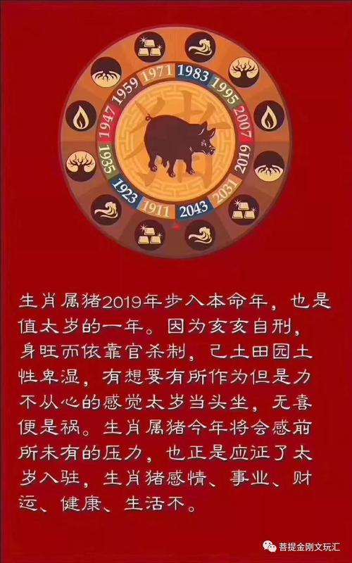 本命年真的是犯太岁吗?算命大师来一一告诉你!