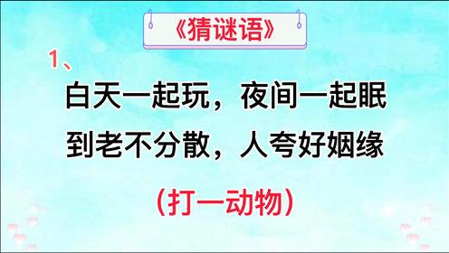 白天一起玩晚上一起眠到老不分散人间好姻缘