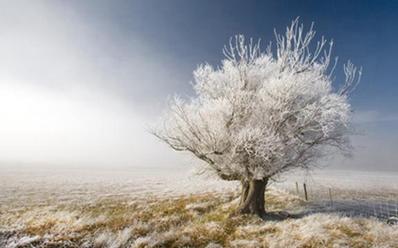 八卦命理:小雪节气出生的人的性格和命运