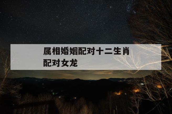 男龙女龙婚姻是否相配