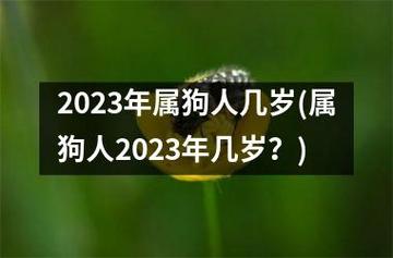 属狗人2023年将迎来天塌大事