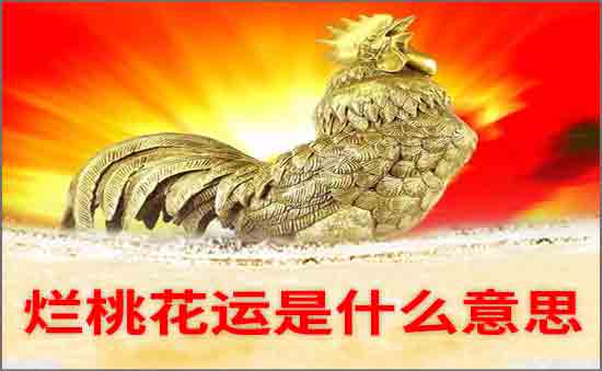 4月底 惹来烂桃花死穴 难遇真爱的3生肖