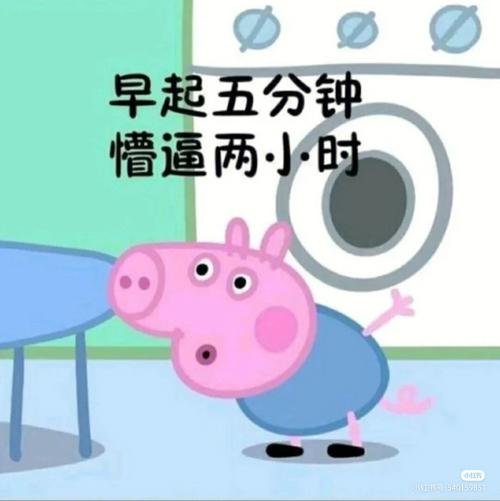 早起5分钟,蒙逼俩小时的星座