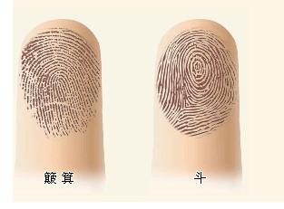 手指纹十个斗的男人
