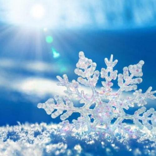 梦见天空飘着小雪花