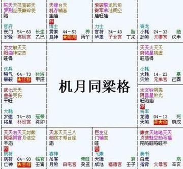 紫微斗数富贵格局——机月同梁格