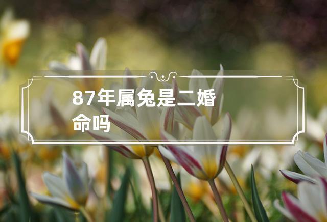 87年属兔男是二婚命吗,一生婚姻运势