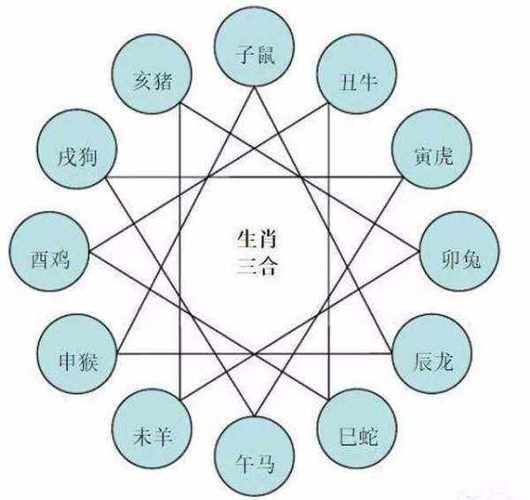 属猪的爸爸和鼠宝宝好不好,相生还是相克