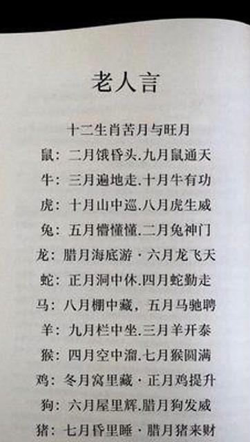 八月给十二生肖的一句话忠告